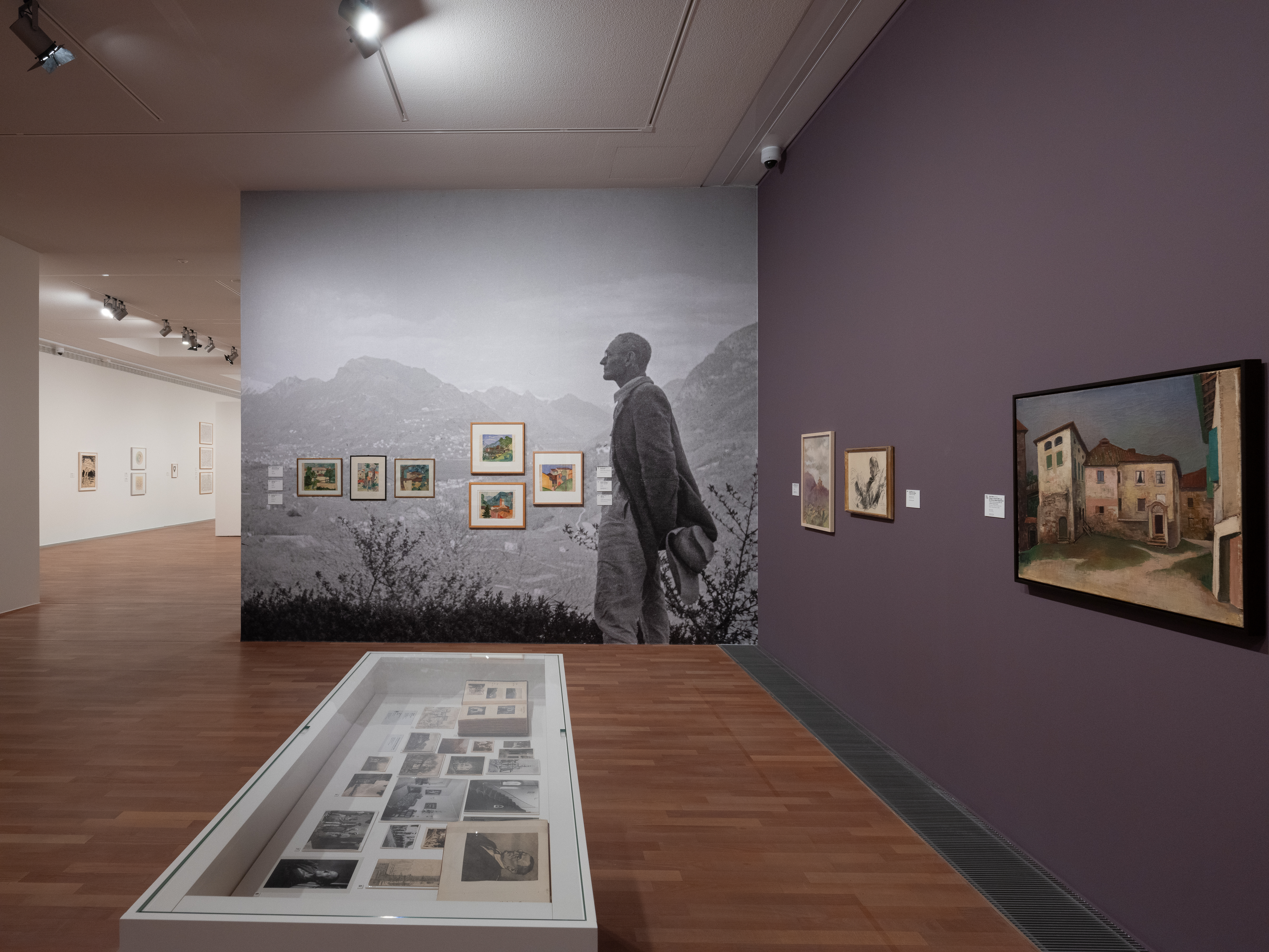 Installation_view_David-Weiss_Il-sogno-di-Casa-Aprile_Carona_Foto_Alfio_Tommasini